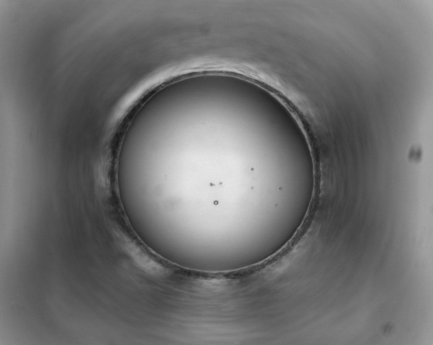 X0000102381502200808011525