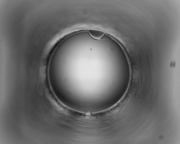 X0000102381503200808011525