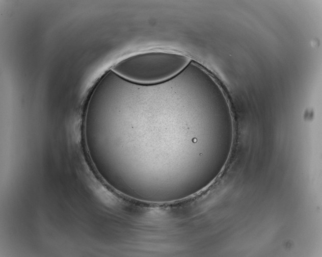 X0000102381504200808011525