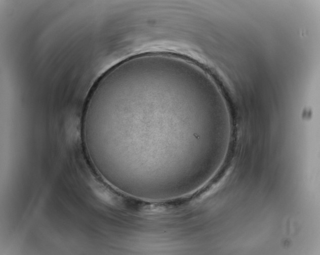 X0000102381505200808011525