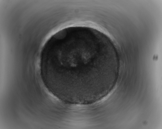 X0000102381506200808011525