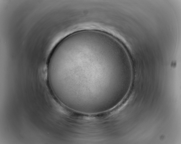 X0000102381509200808011525