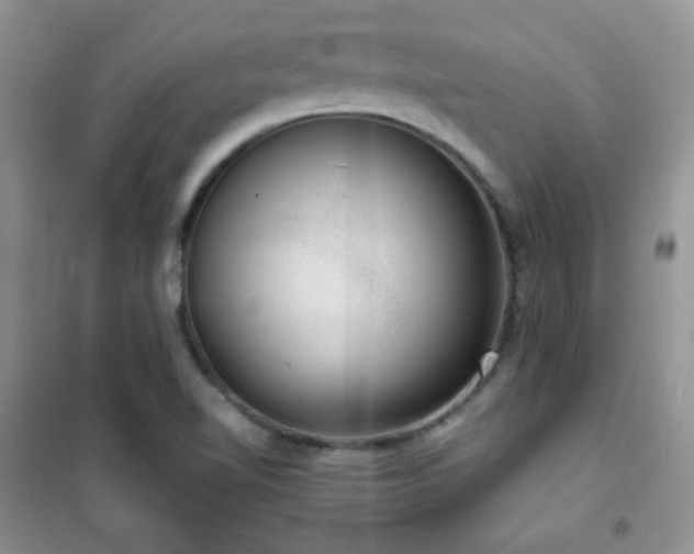 X0000102381510200808011525