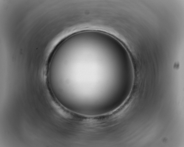 X0000102381511200808011525