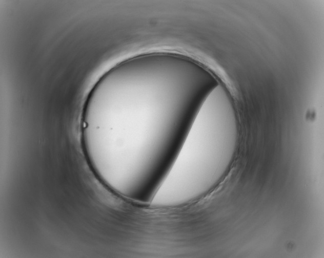 X0000102381512200808011525