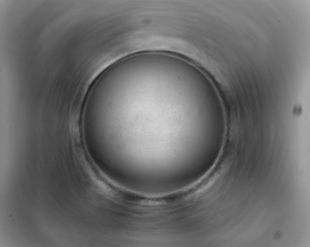 X0000102381513200808011525