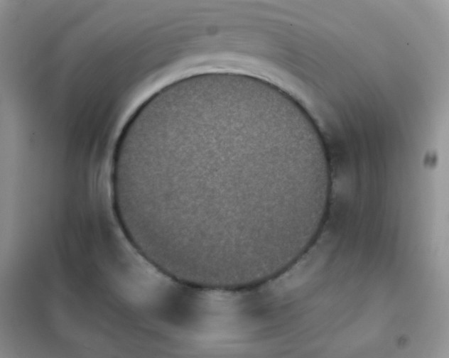 X0000102381514200808011525