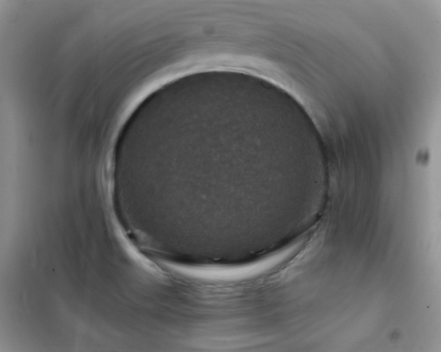 X0000102381515200808011525