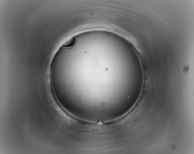 X0000102381516200808011525