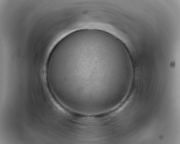 X0000102381517200808011525