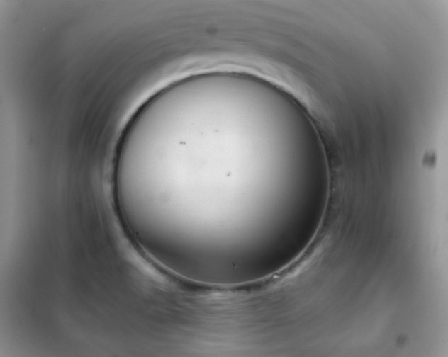 X0000102381518200808011525