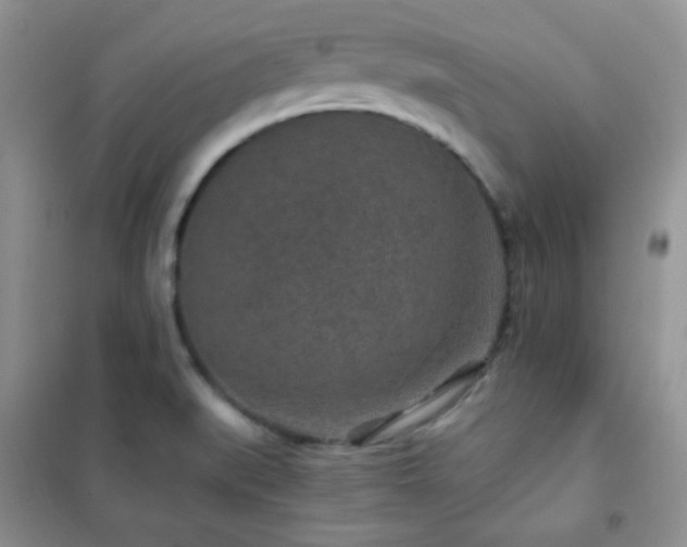 X0000102381519200808011525