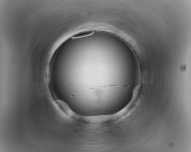 X0000102381520200808011525