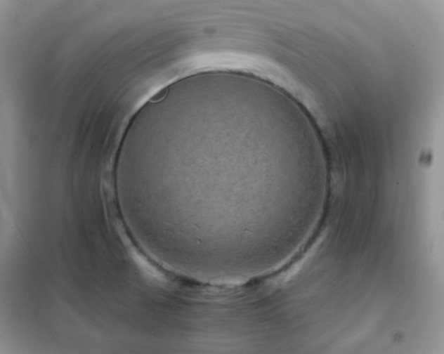X0000102381521200808011525