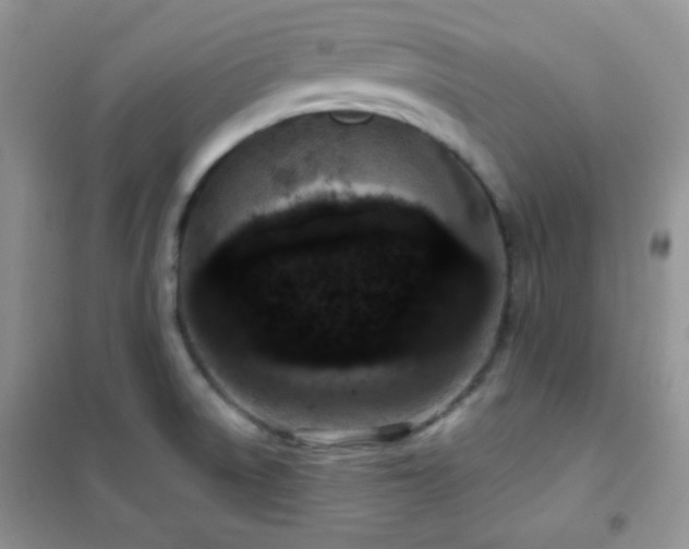 X0000102381522200808011525