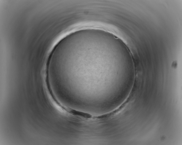 X0000102381523200808011525