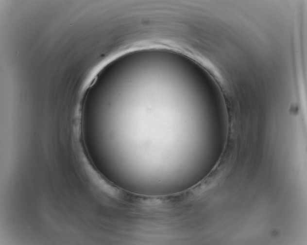 X0000102381524200808011525