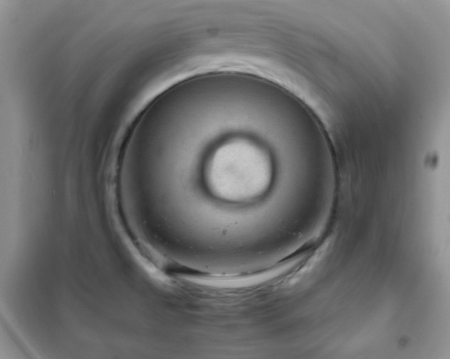 X0000102381525200808011525