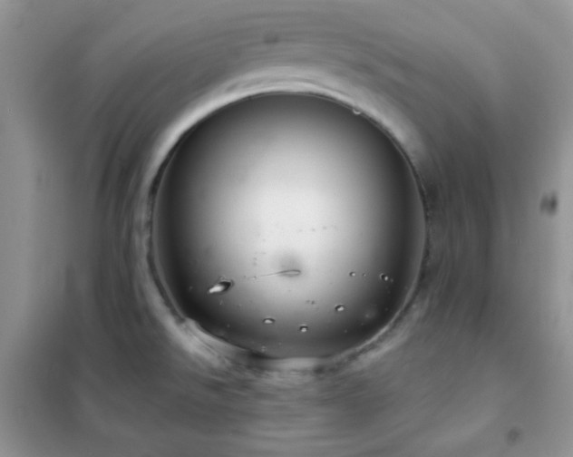 X0000102381526200808011525
