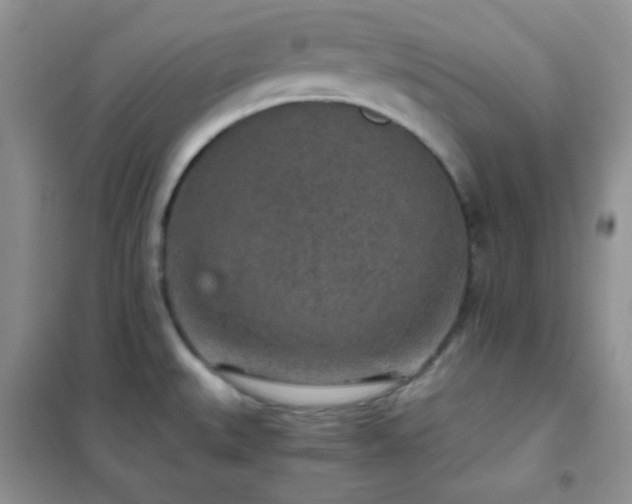 X0000102381527200808011525