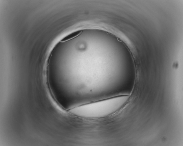 X0000102381528200808011525