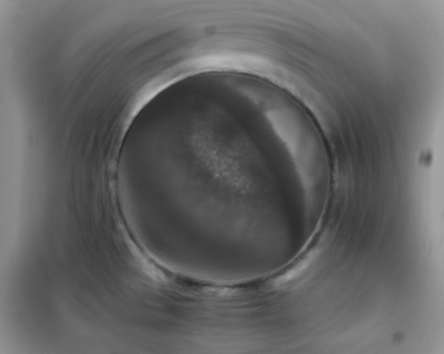 X0000102381529200808011525