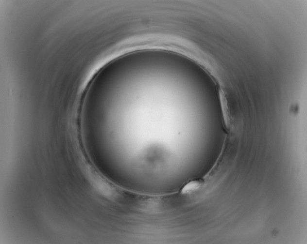 X0000102381530200808011525