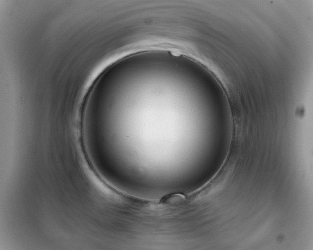 X0000102381531200808011525