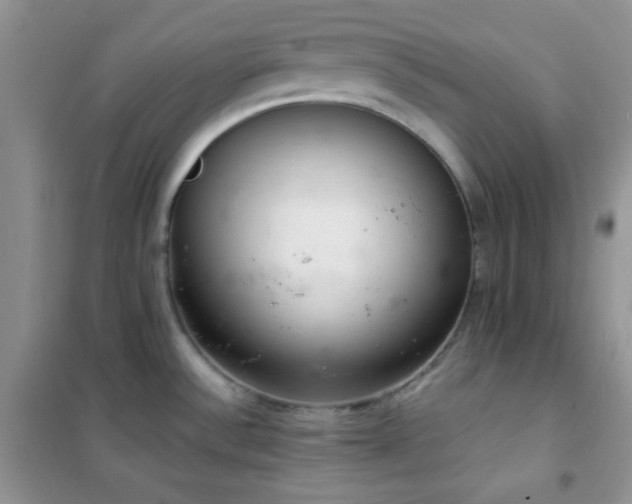 X0000102381532200808011525