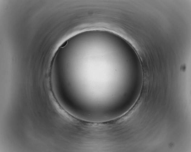 X0000102381534200808011525