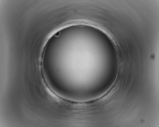 X0000102381535200808011525