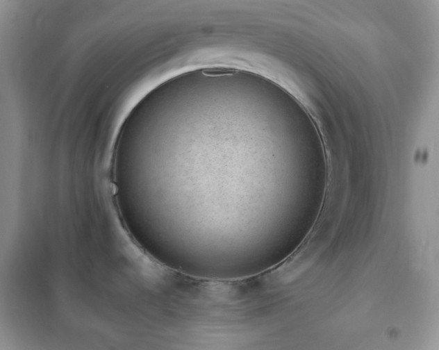 X0000102381536200808011525