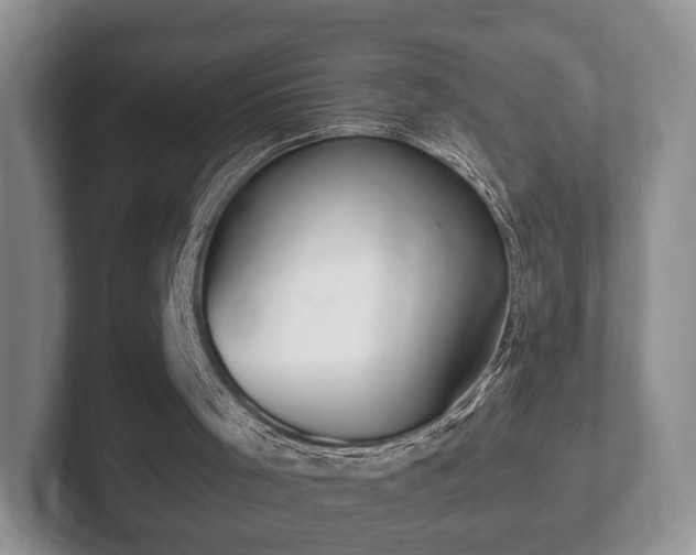 X0000102380001200808081147