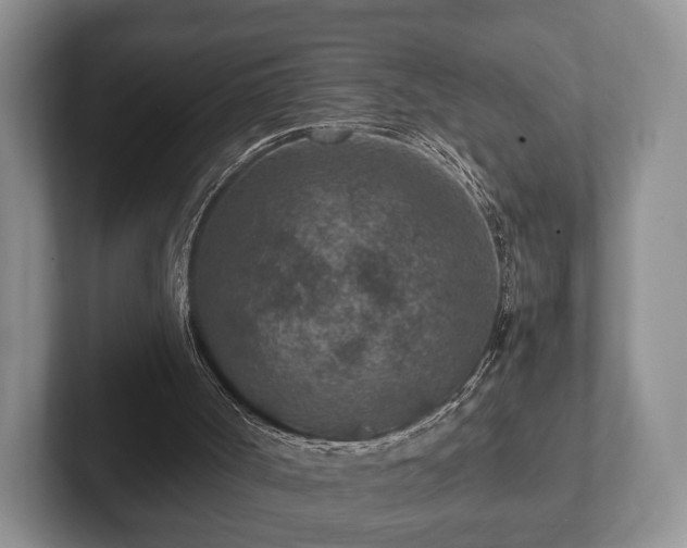 X0000102380002200808081147