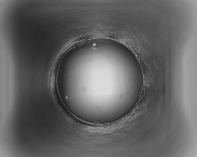 X0000102380005200808081147