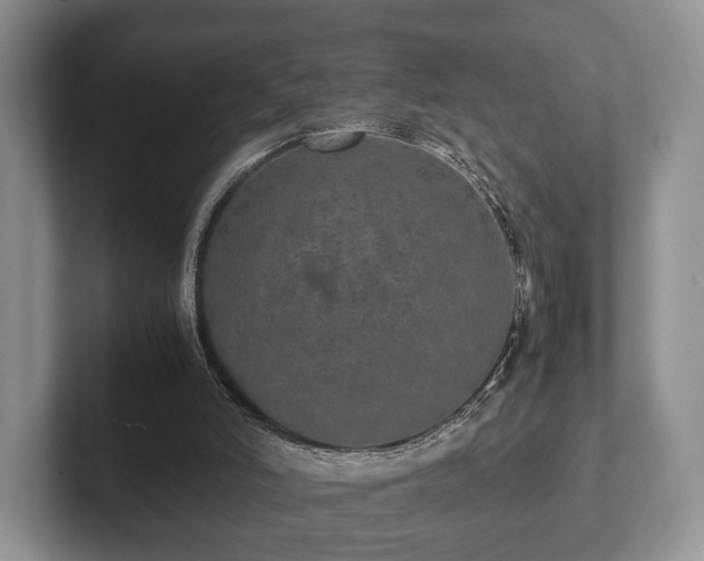 X0000102380006200808081147