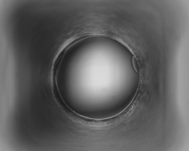 X0000102380008200808081147