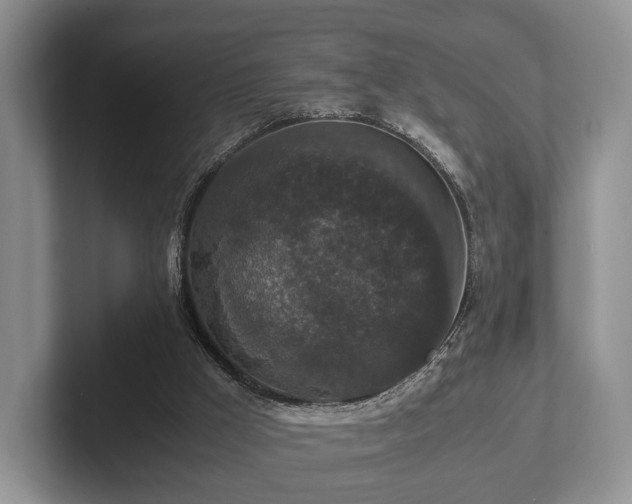 X0000102380009200808081147