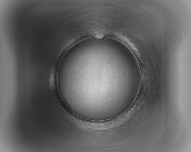 X0000102380010200808081147