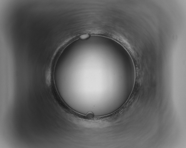 X0000102380012200808081147