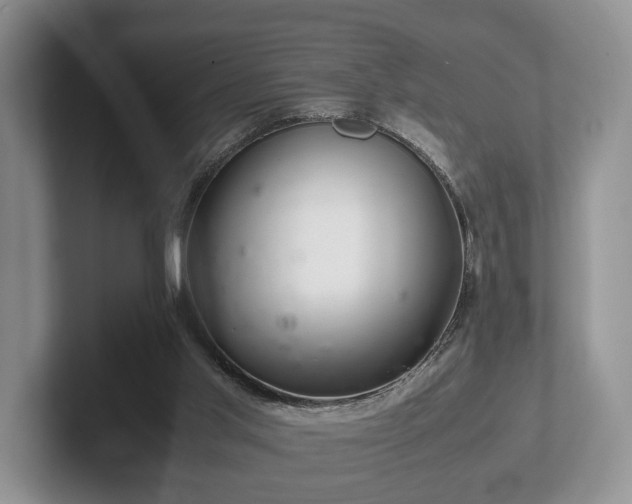 X0000102380013200808081147