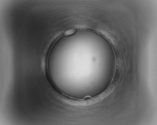 X0000102380015200808081147