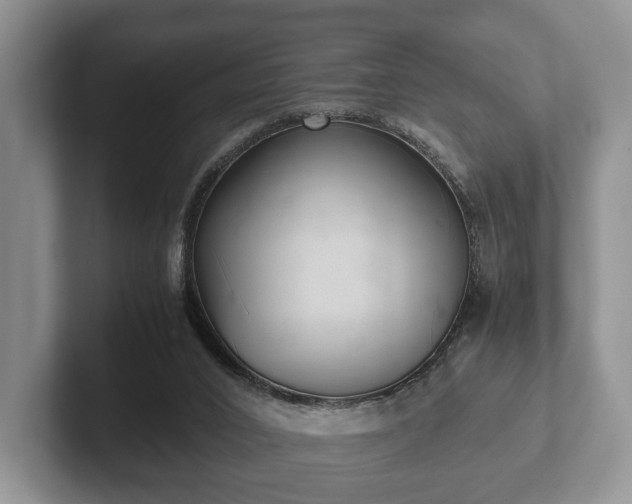 X0000102380016200808081147