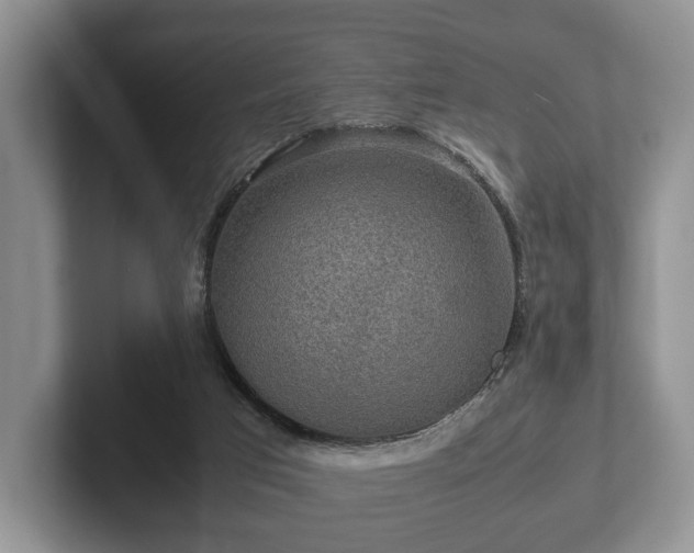 X0000102380017200808081147