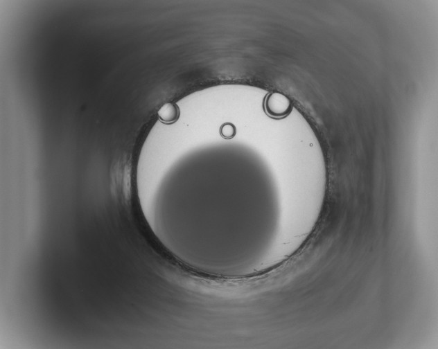 X0000102380019200808081147