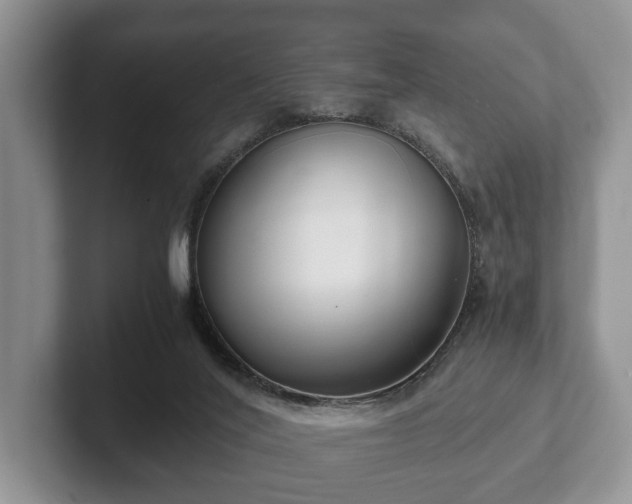 X0000102380020200808081147