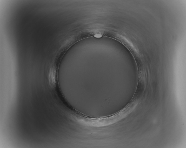 X0000102380023200808081147