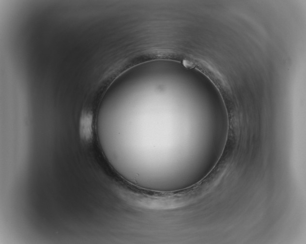 X0000102380024200808081147