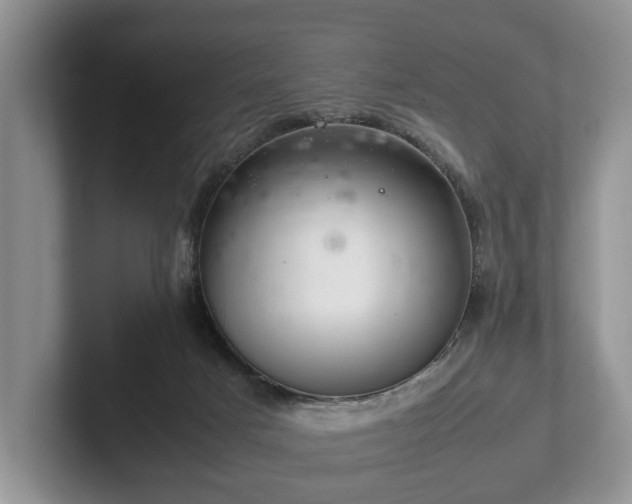 X0000102380025200808081147