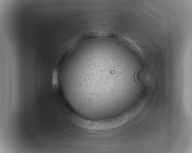 X0000102380026200808081147